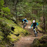 oV5Fv8Hosno-channel-avatar-Bikes and Watches