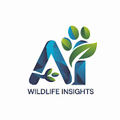AI Wildlife Insights
