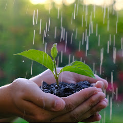 【雨の音】Relaxing Piano & Rain Sounds 🌧️