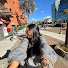 72Lj44N3O-Q-channel-avatar-Beatriz Oliveira