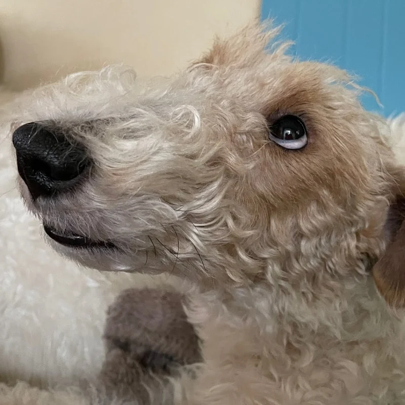 ことばるチャンネル