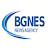BGNES Agency