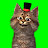 Miaw Gaming