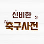 신비한 축구사전