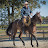 Remount Horsemanship