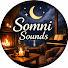 uCPiSrJogWc-channel-avatar-Somni Sounds