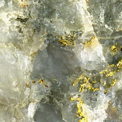 gayor ngapak #shorts