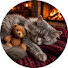 Mvq7vIJK1jk-channel-avatar-Dreamy Meow Harmony