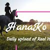 What could HanaKo Horse® buy with $2.93 million?