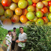 indian agriculture🍅