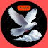 MJ9ec5Vyrw8-channel-avatar-النيلين News