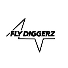 🪢フライディガーズ🚀 FLY DIGGERZ