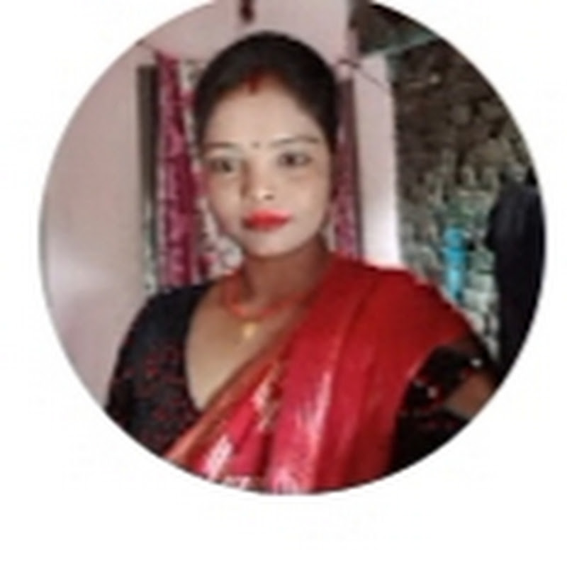 Karishma dancer vlog