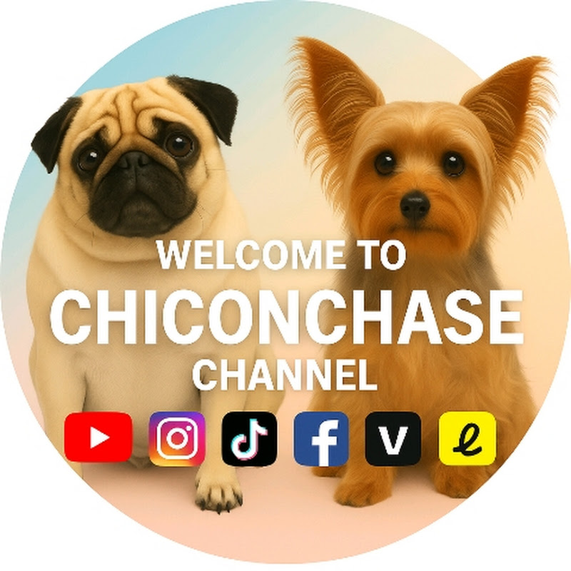 CHICOnCHASE 
