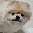 @허허허-z3j