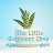 @thelittlesucculentshop6739