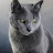 @Blue09-f9m