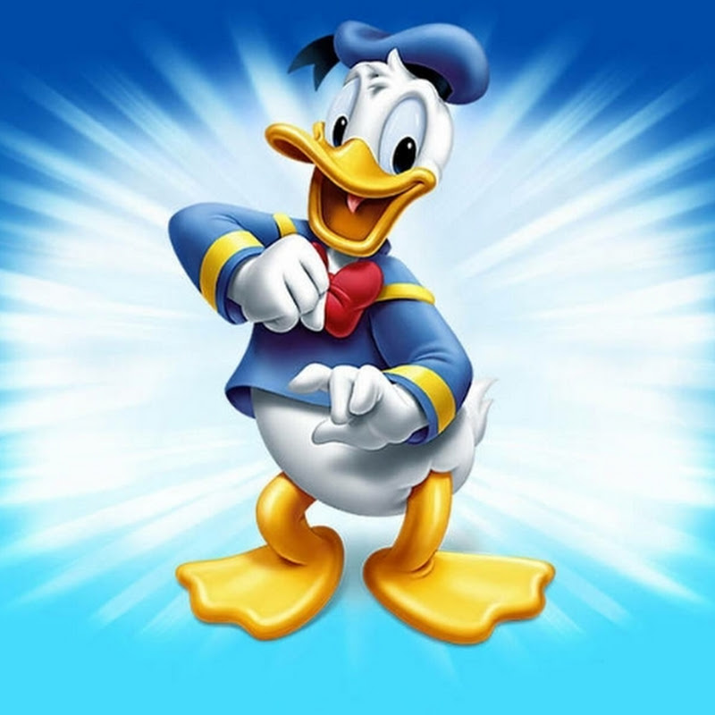 ANISH CHAURASIYA facts