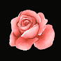 NUDIO Avatar