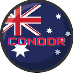 Condor net worth
