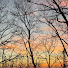 LWmlV6BSb-0-channel-avatar-Bluegrass