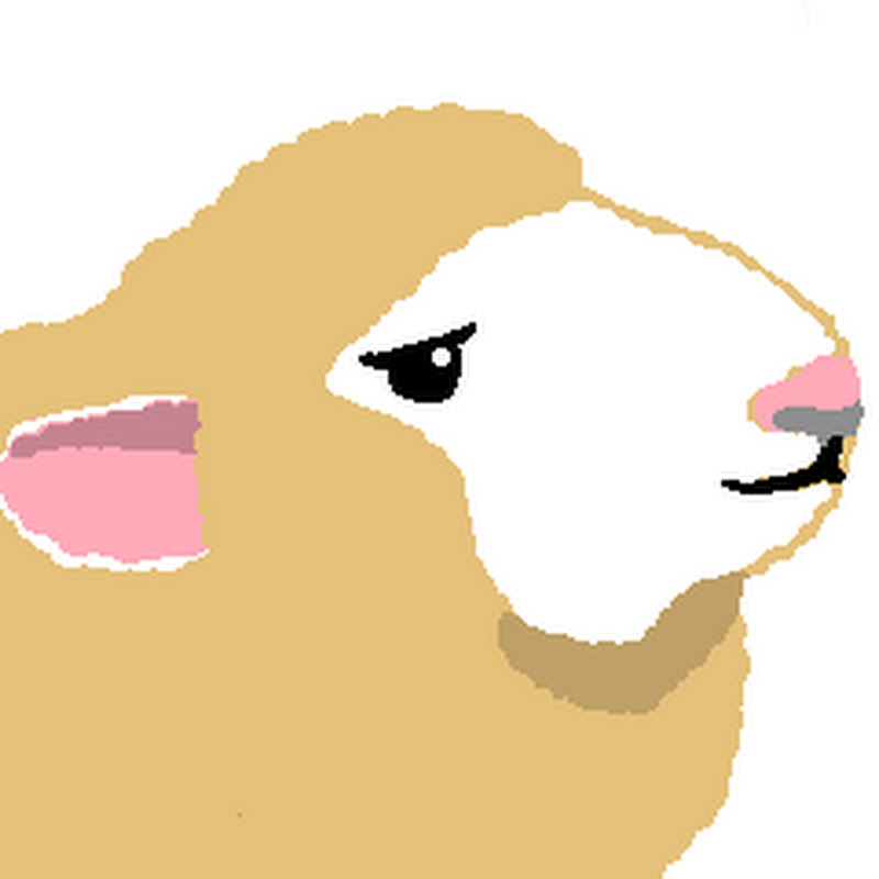 ユルく生ヌコを愛でる