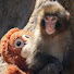 aaq_wbfv3pM-channel-avatar-MonkeyPunchJapan