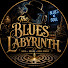 6SjOcq0hxa0-channel-avatar-The Blues Labyrinth