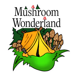 Mushroom Wonderland Avatar