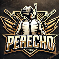 Perecho PUBG profile image