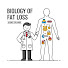 rvggCaBFpWk-channel-avatar-Biology of Fat Loss