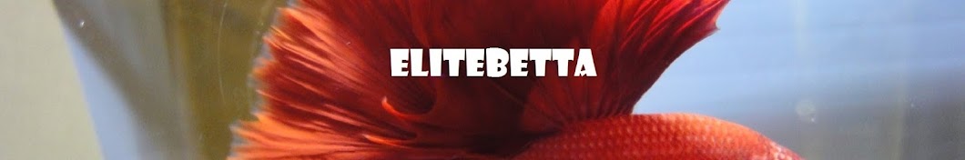 Elitebetta YouTube 频道头像