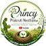 m7OnRlL4kAE-channel-avatar-Princy Prakruthi Nestham