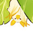 p8S7sJfoyyk-channel-avatar-flor de llums