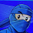 @HepNinja Avatar