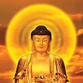 聞くだけであなたを幸福へと導く-神の音色-