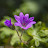 @Heliastheodorakis's avatar