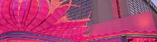 Flamingo Las Vegas S Net Worth In 2020 Youtube Money Calculator