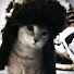 fXPm6AZIPVg-channel-avatar-CalmVibes