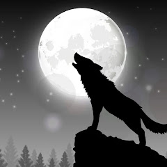 FOX HUNTING avatar
