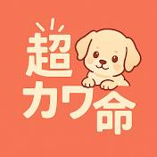 カワイイが勝つ