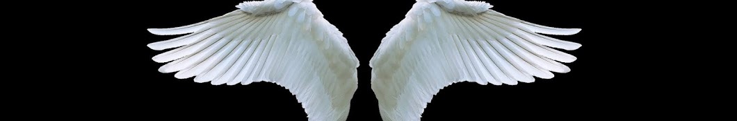 angel birds यूट्यूब चैनल अवतार