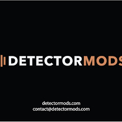 DetectorMods net worth