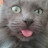 @jackmeoffer9334 Avatar