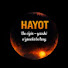 V9wcLRCa8SM-channel-avatar-Hayot Hayol