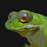 DyUu8ebOTLA-channel-avatar-Riftadpole