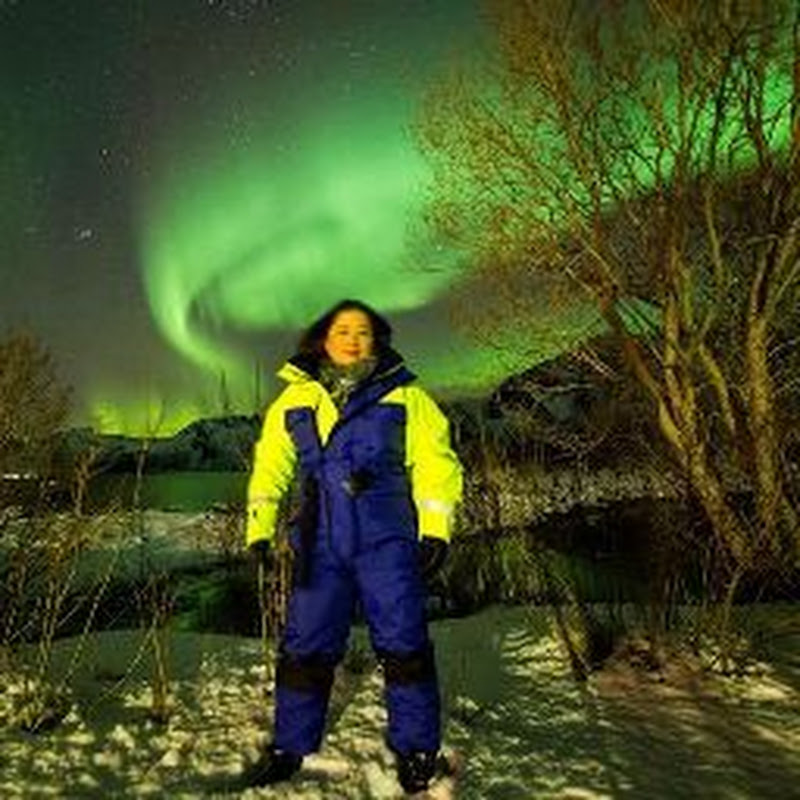 Norway Land and Seas channel avatar
