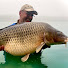 UefO8wjD534-channel-avatar-See Ya In A Fish
