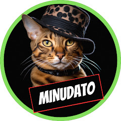 MINUDATOS