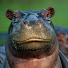 jgnnm4gktFg-channel-avatar-Nick Hippo Comics